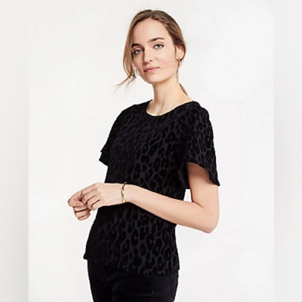 ANN TAYLOR Velvet Spotted Flutter Sleeve Flocked Top Black Leopard Print Size M